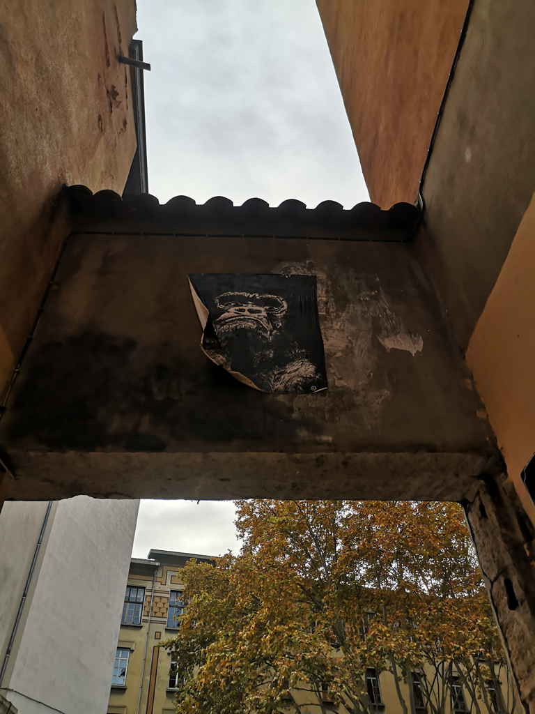Photo de la traboule