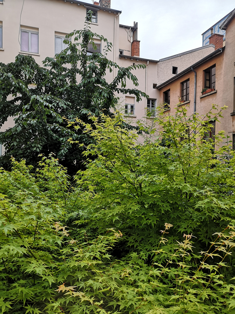 Photo de la traboule